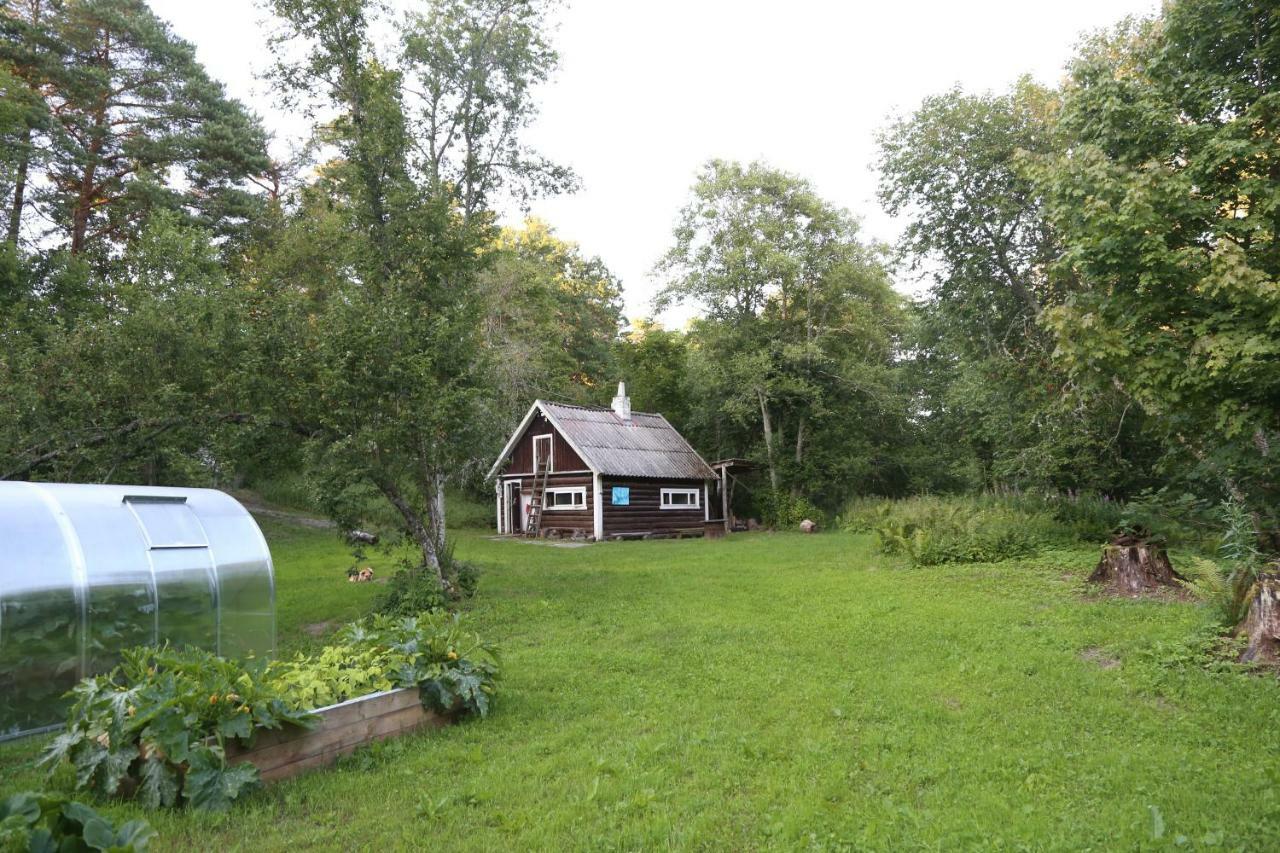 Homestay Annenhof House *