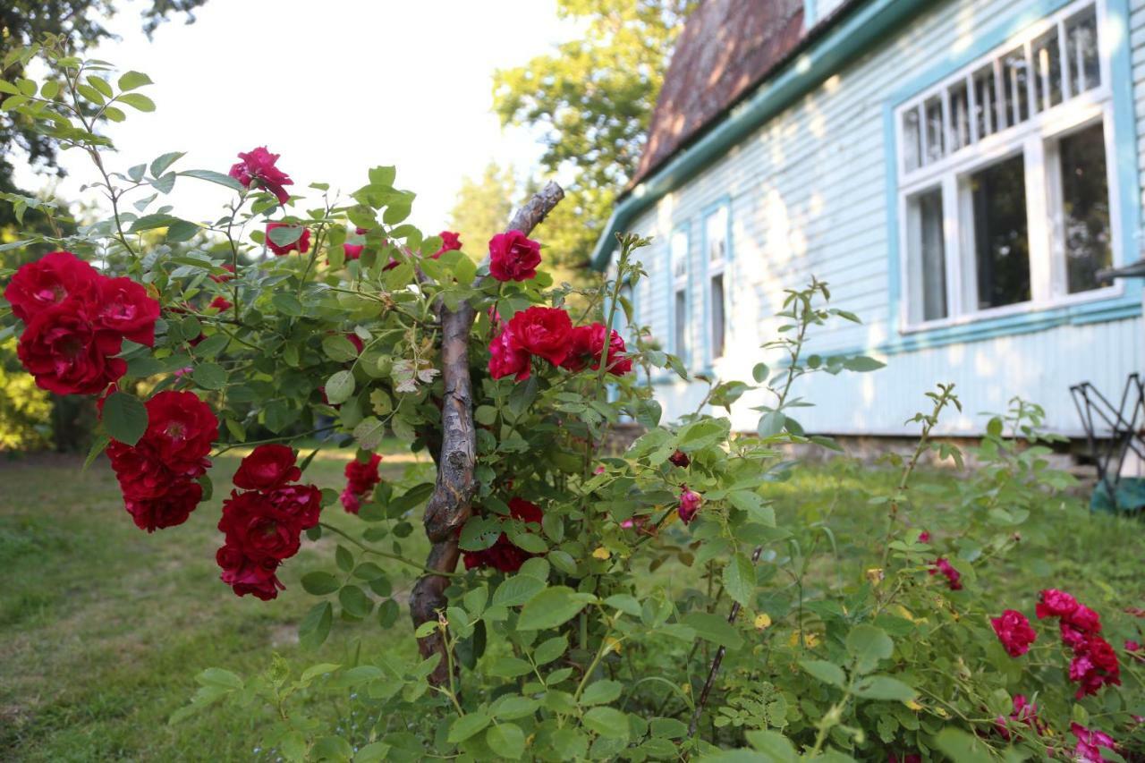 Homestay Annenhof House
