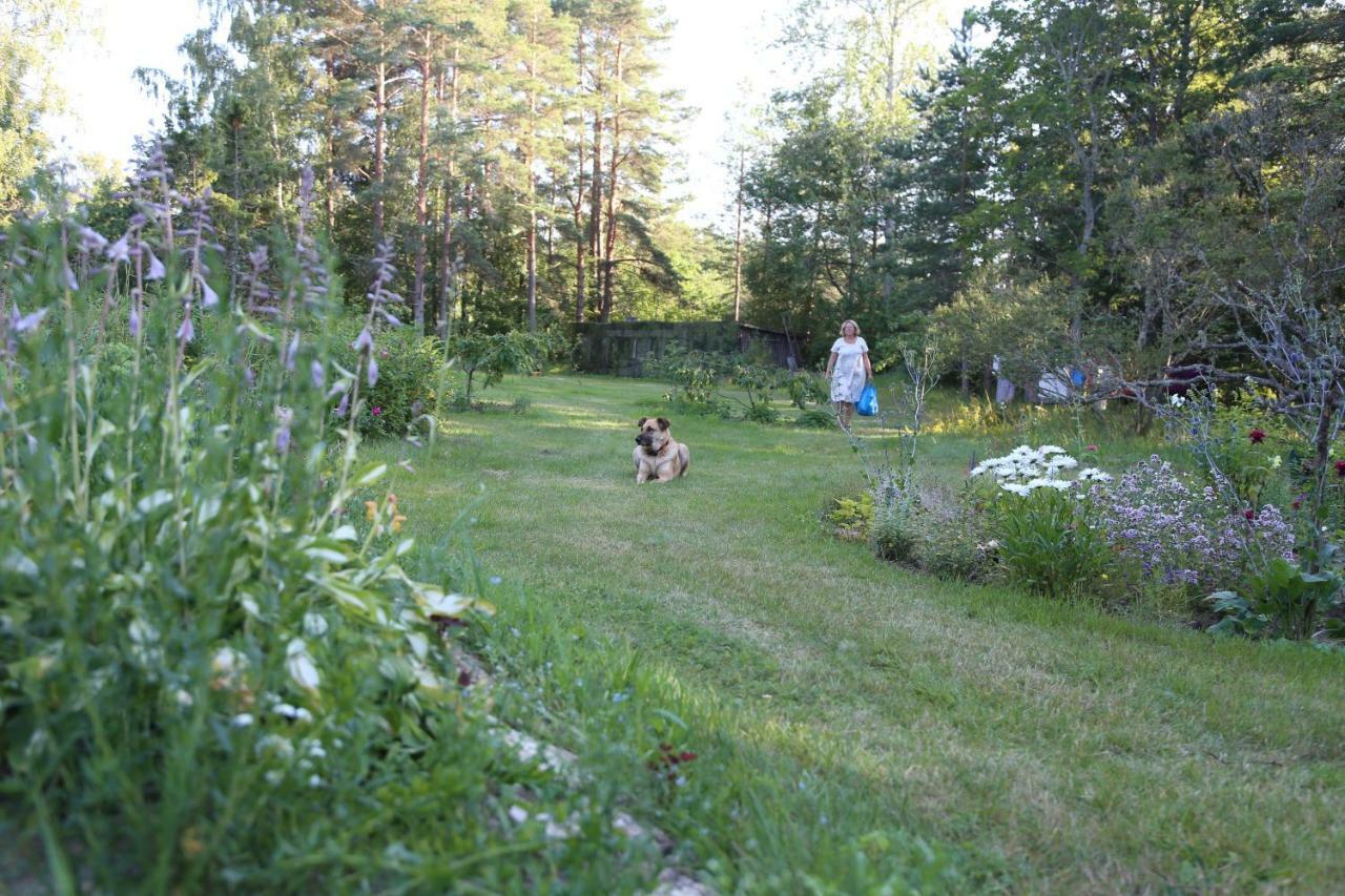 Annenhof House Homestay