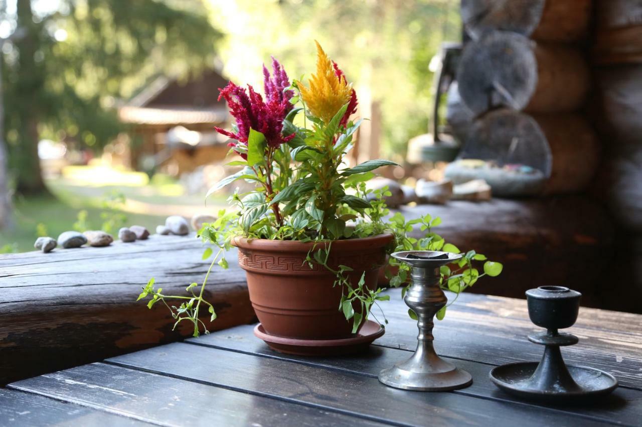 Annenhof House Homestay